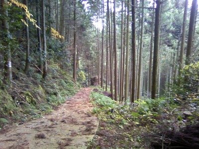 Hidarugami Road