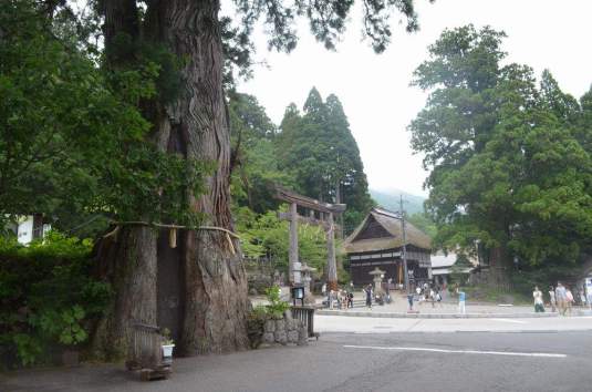 Three Cedars of Togakushi